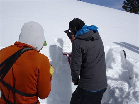 interpreting avalanche compression test|Compression Test (CT) .